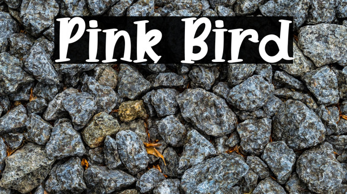 Pink Bird Example 1
