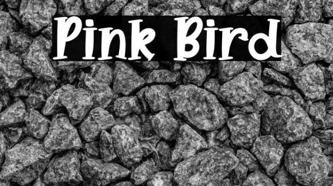 Pink Bird Font examples