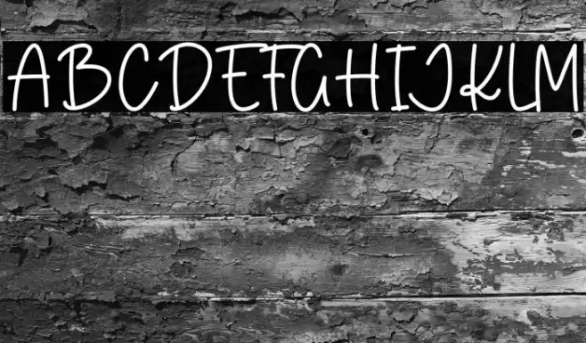 Pink Bloom خط examples