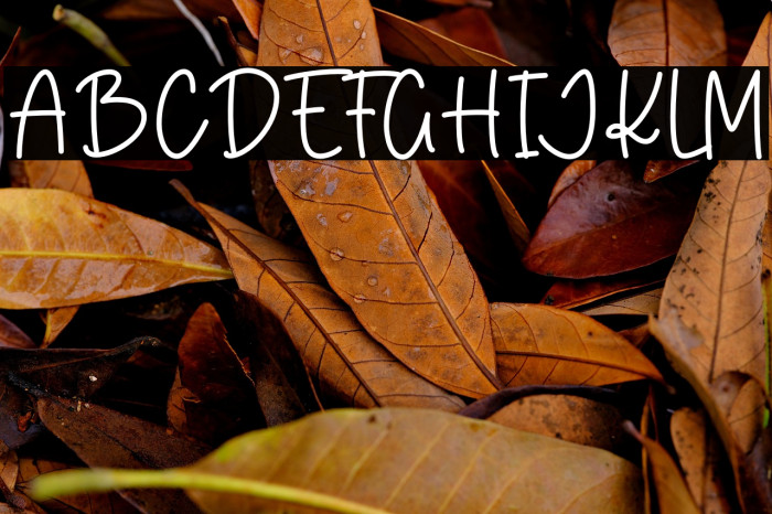 Pink Bloom Example 3