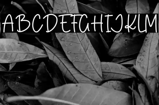 Pink Bloom خط examples