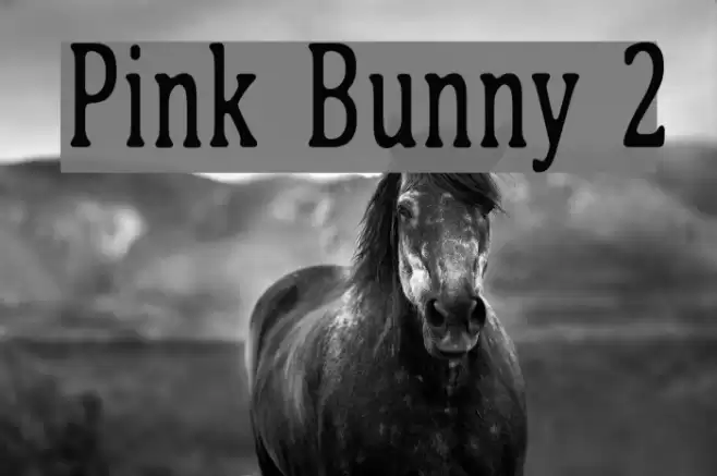Pink Bunny 2 Font examples