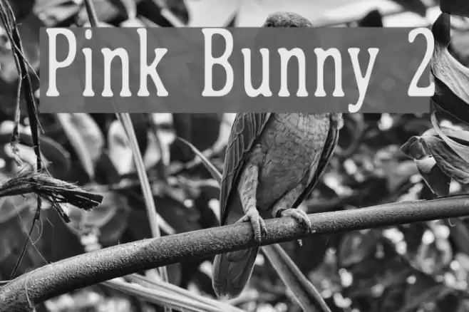 Pink Bunny 2 Font examples