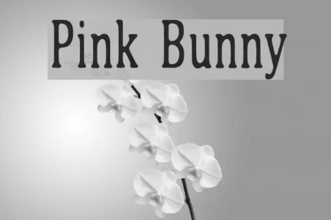 Pink Bunny Font examples