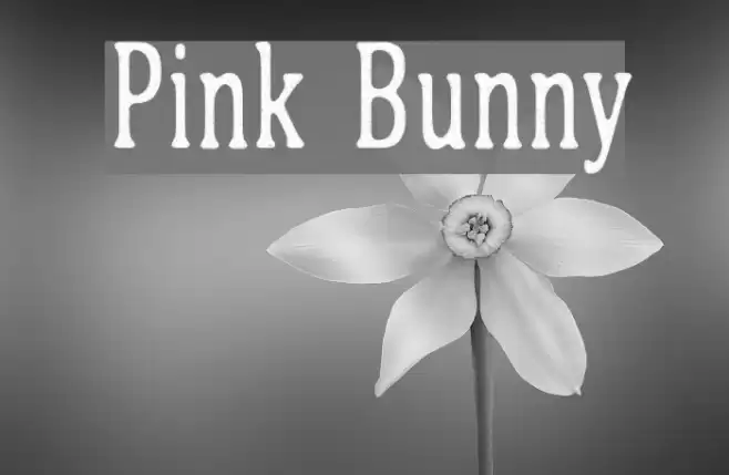 Pink Bunny Font examples