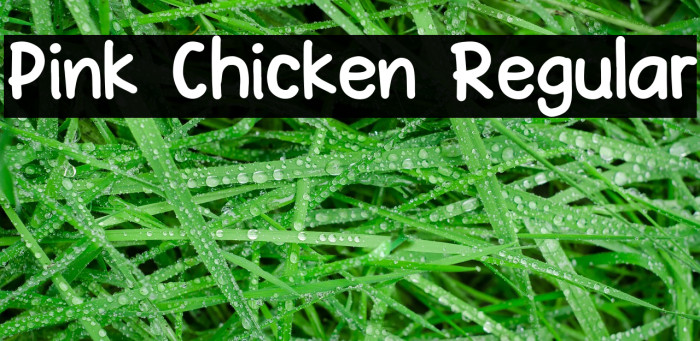 Pink Chicken Regular Example 1