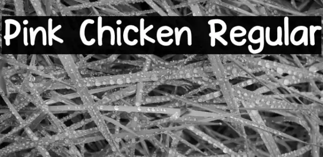 Pink Chicken Regular Font examples