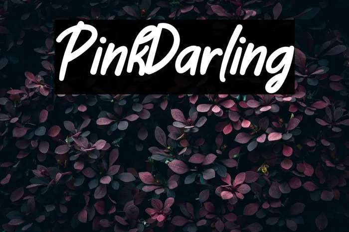 Pink Darling Example 2