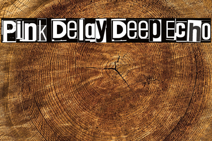 Pink Delay Deep Echo Example 1