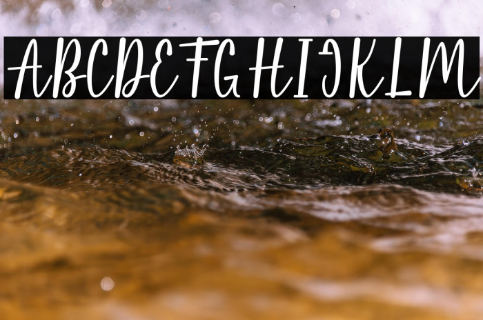 Pink Flowers Example 1