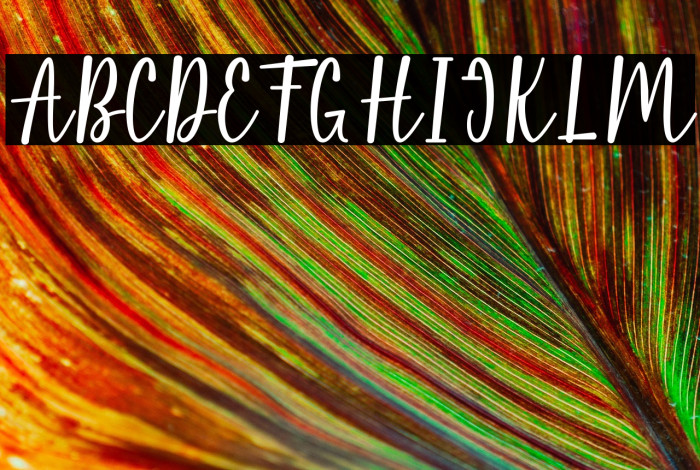 Pink Flowers Example 2