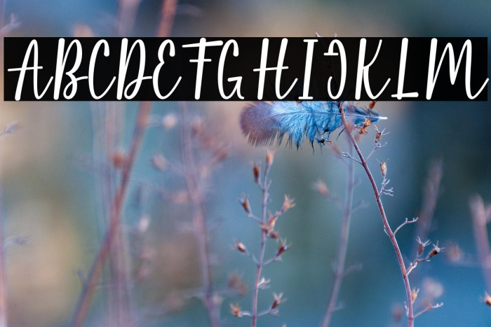 Pink Flowers Example 3