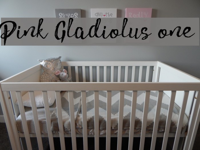 Pink Gladiolus one Font examples