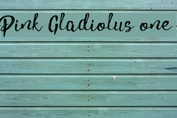 Pink Gladiolus one Font examples