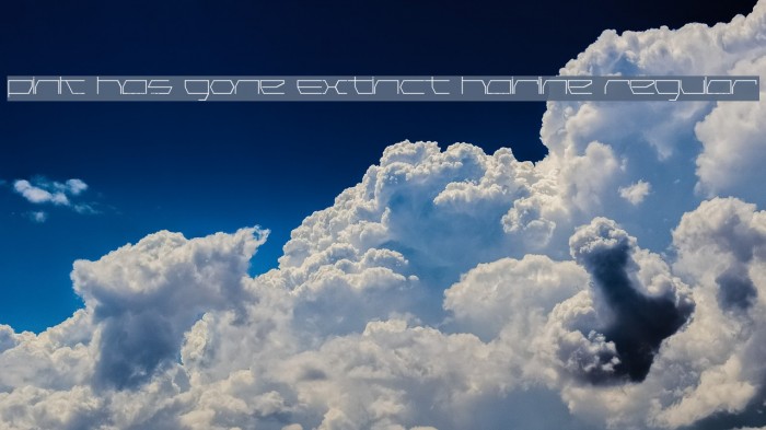 Pink Has Gone Extinct Hairline Regular Example 3