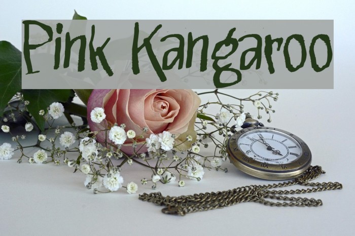 Pink Kangaroo Font examples