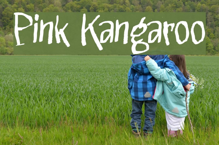 Pink Kangaroo Font examples