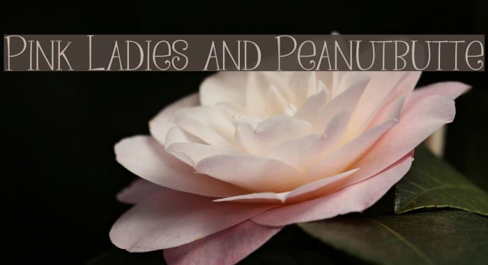 Pink Ladies and Peanutbutte Font examples