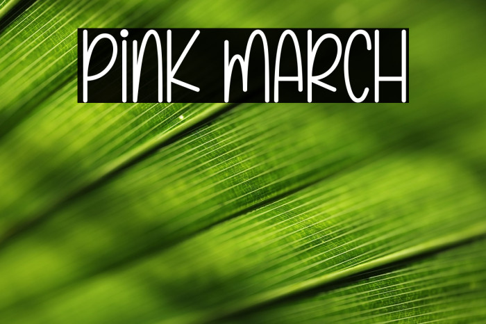 Pink March Schriftart examples
