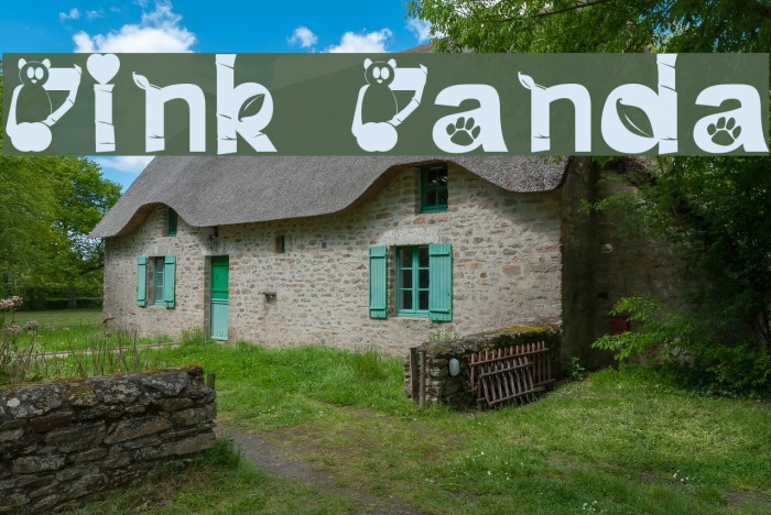 Pink Panda Example 3