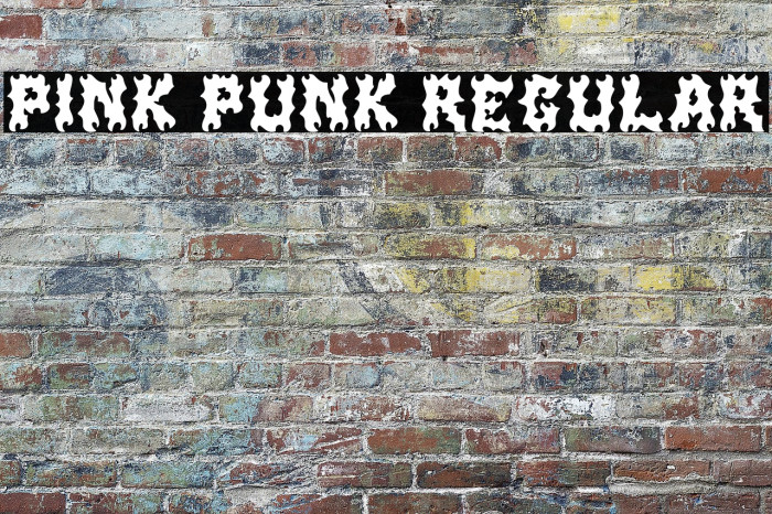 Pink Punk Regular Example 3
