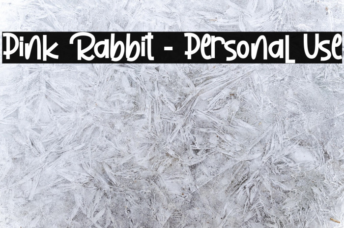Pink Rabbit - Personal Use Example 1