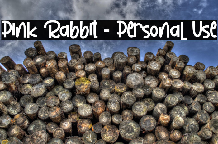 Pink Rabbit - Personal Use Example 2