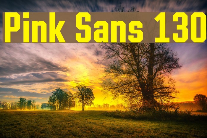 Pink Sans 130 Fonte examples