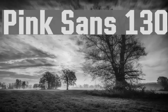 Pink Sans 130 Fonte examples