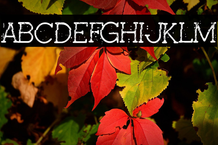 Pink Secrets Example 2