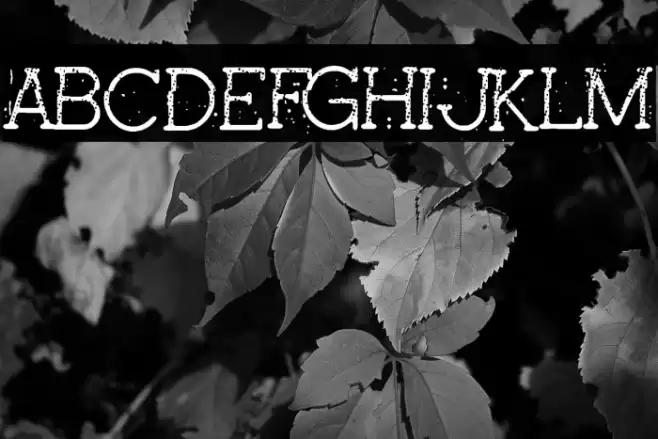 Pink Secrets Font examples