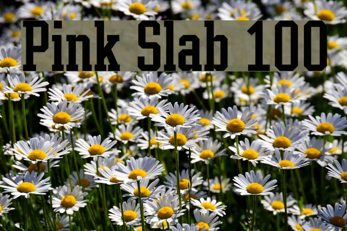 Pink Slab 100 Font examples