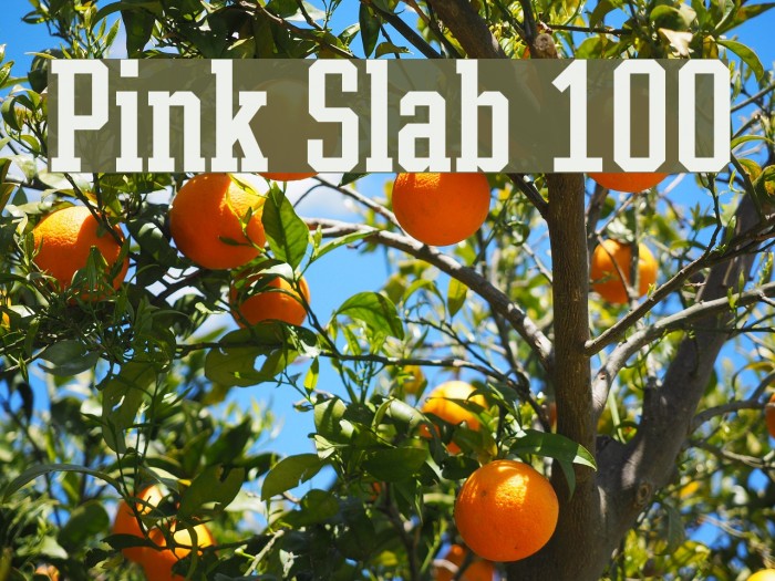 Pink Slab 100 Font examples