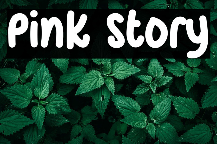 Pink Story Example 1