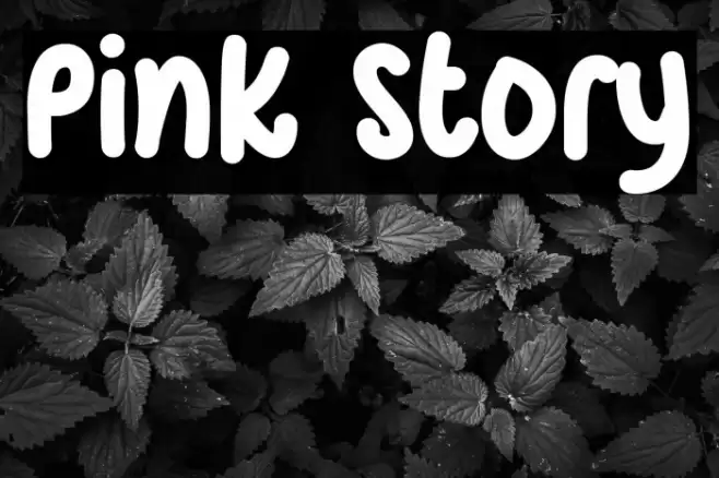 Pink Story フォント examples