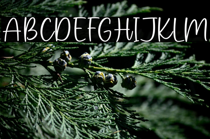 Pink Sugar Example 1