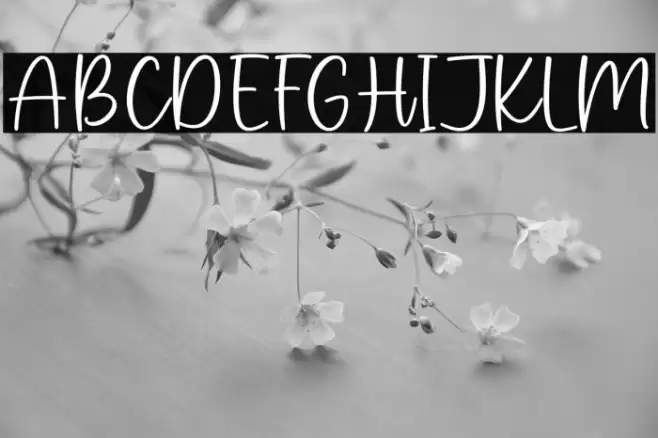 Pink Sugar Schriftart examples