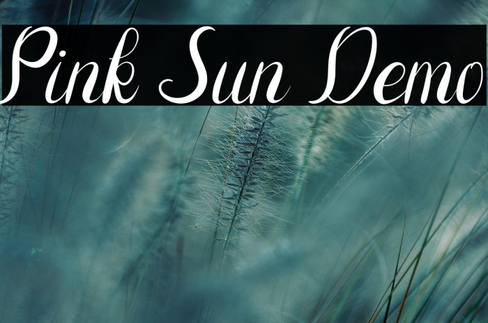 Pink Sun Demo Example 3