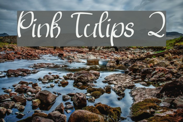 Pink Tulips 2 Font examples