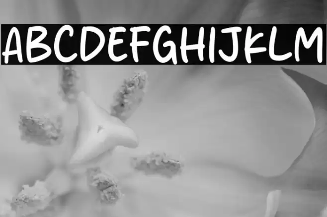 Pink Velvet Caratteri examples