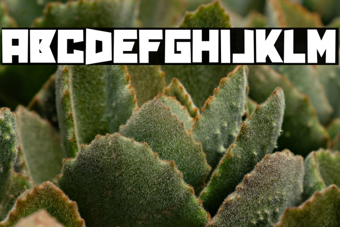 Pink and Crimson Example 1