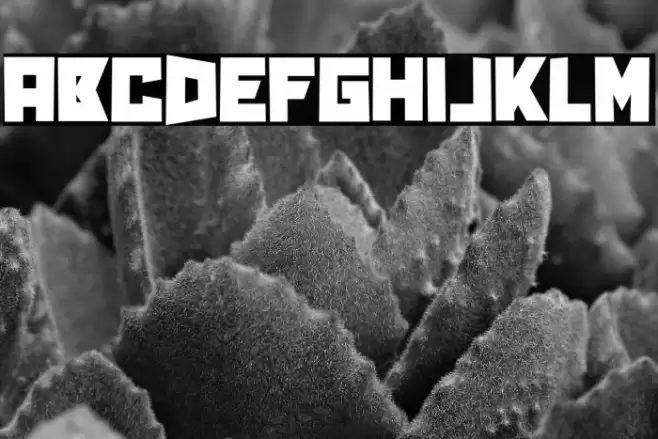 Pink and Crimson Font examples