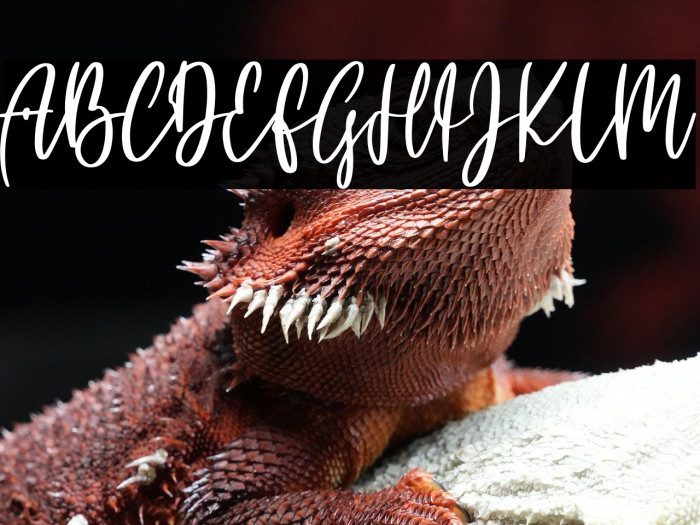 Pink blossom Example 2