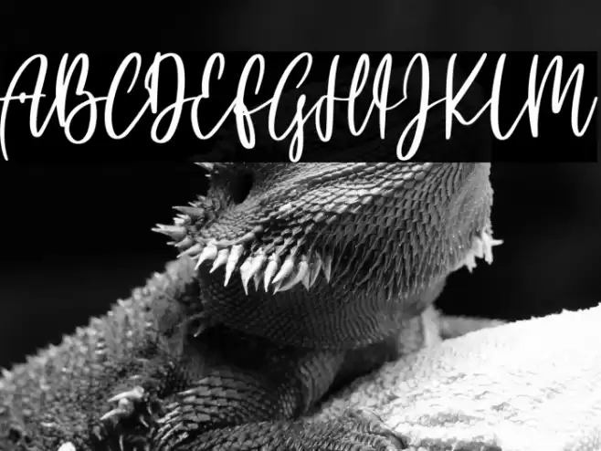 Pink blossom Font examples