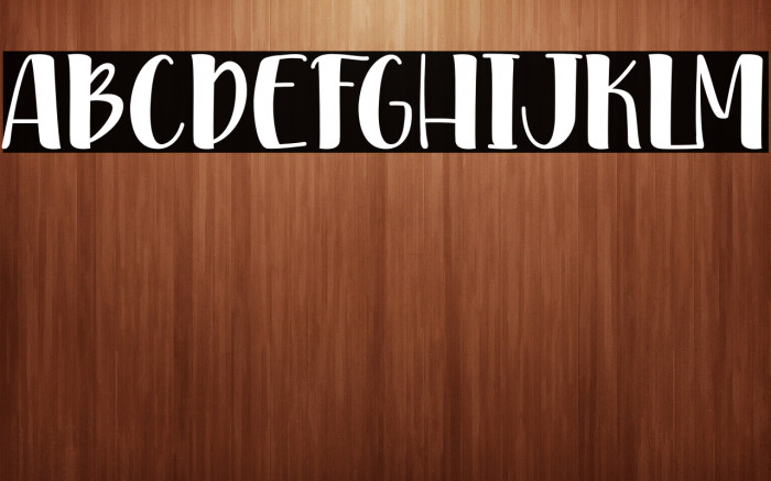 PinkDiaryPersonalUse Example 1