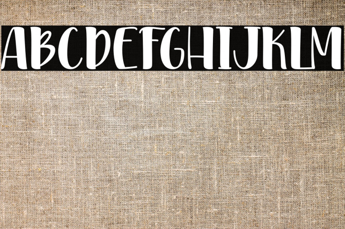 PinkDiaryPersonalUse Example 2