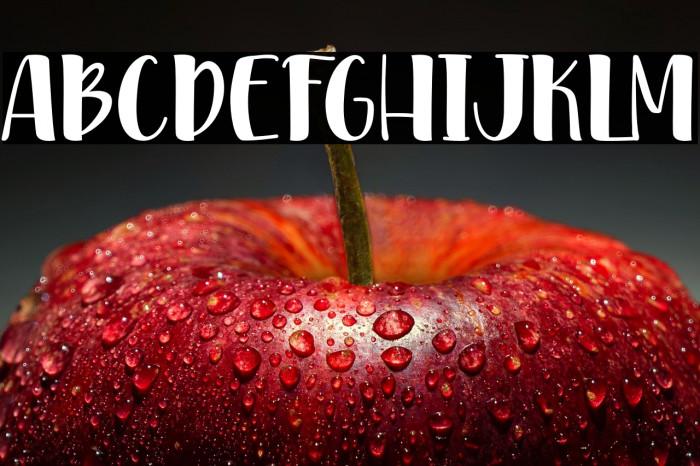 PinkDiaryPersonalUse Example 3