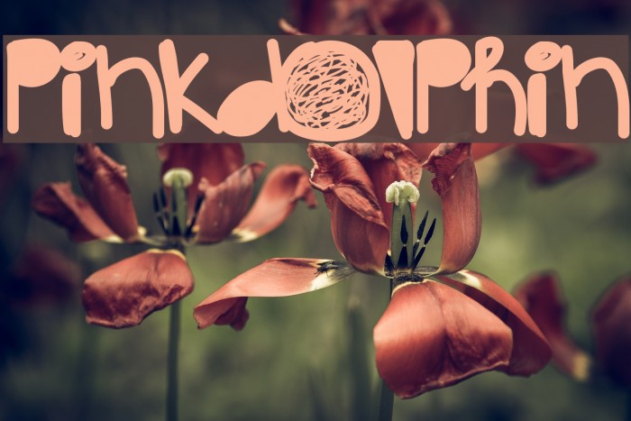 PinkDolphin Example 2