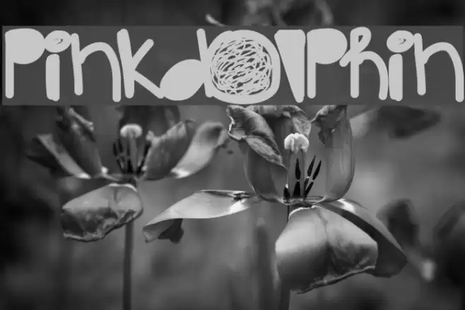 PinkDolphin Font examples