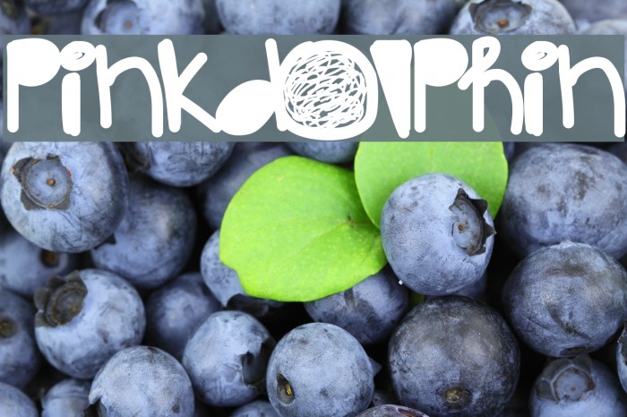 PinkDolphin Example 3